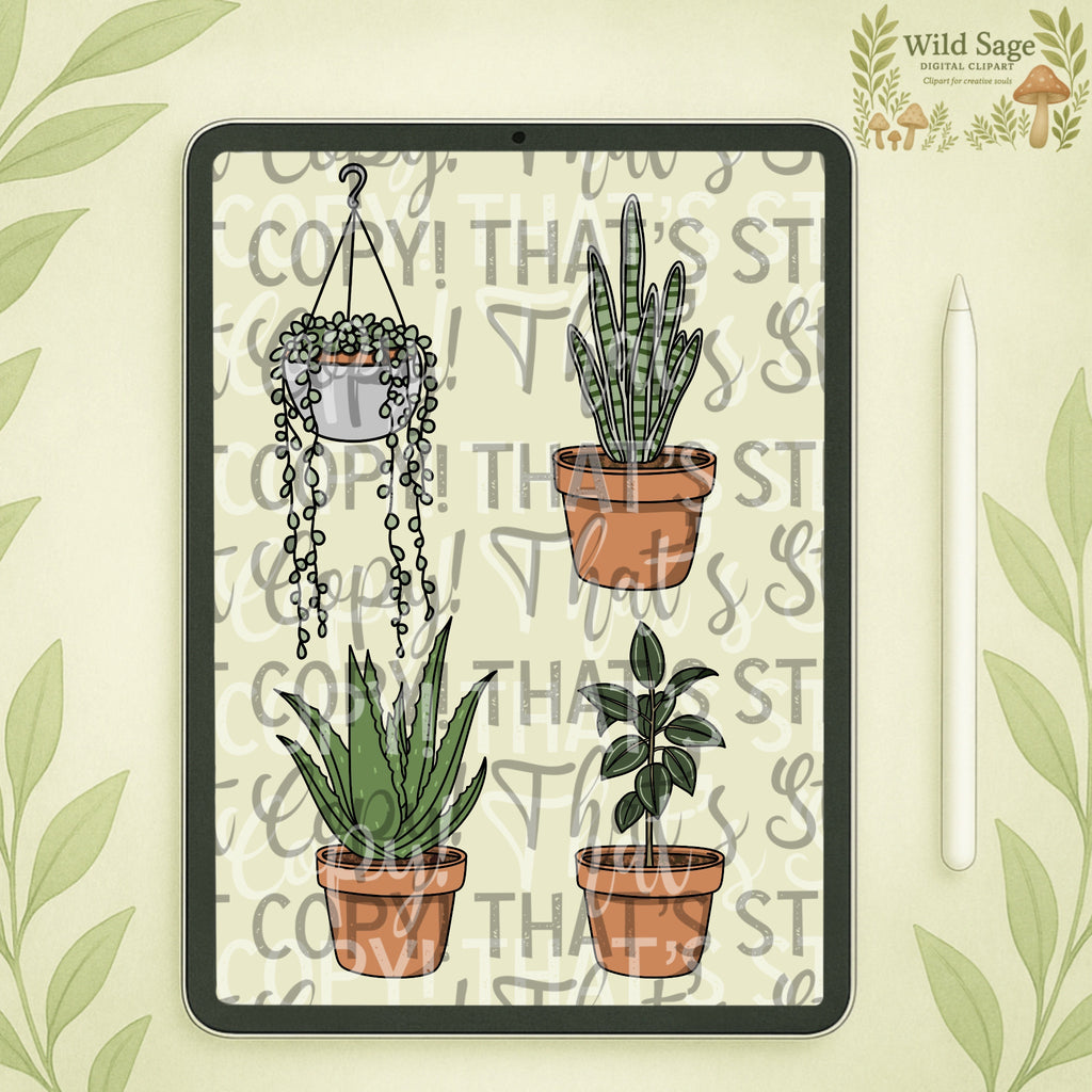 House Plants Clipart