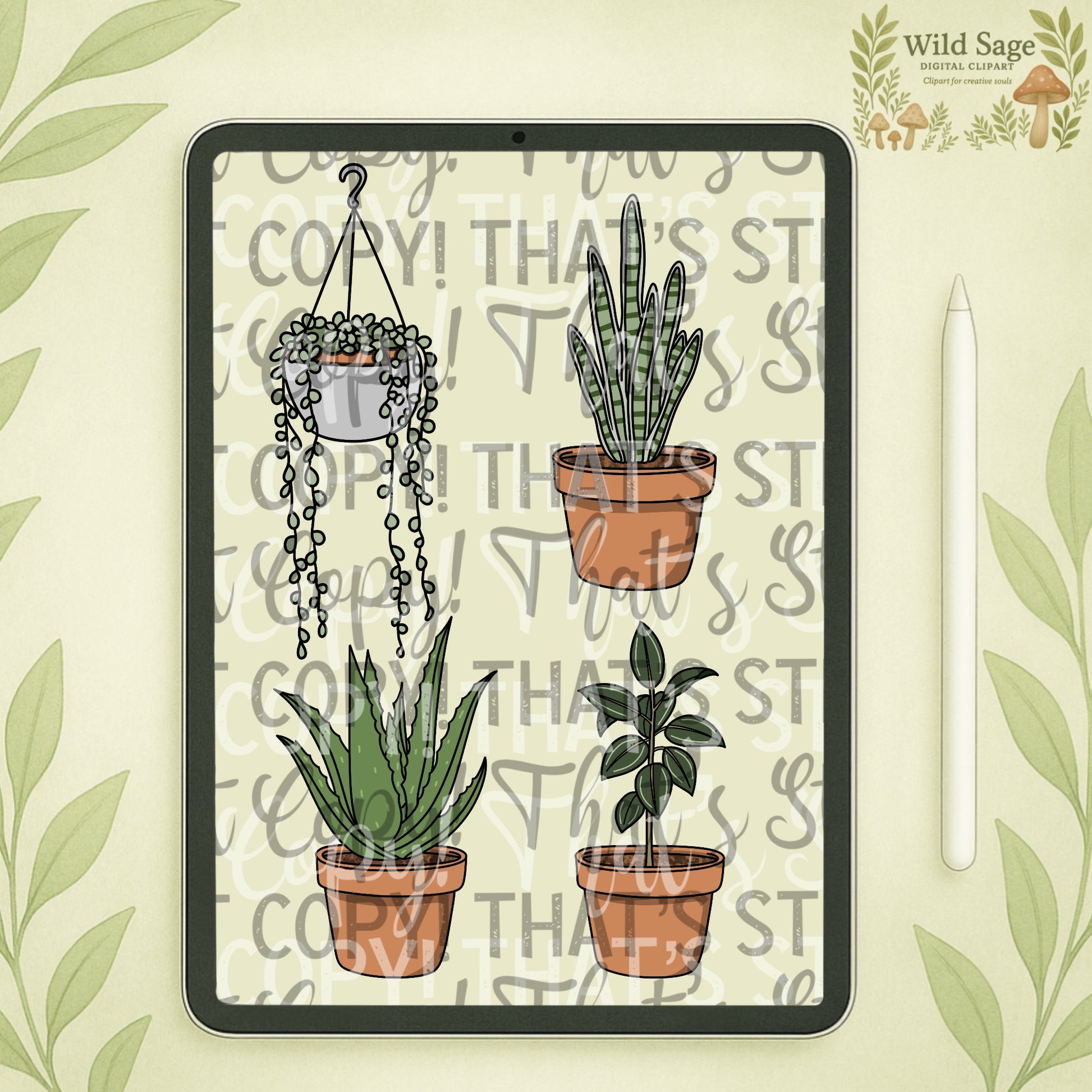 House Plants Clipart