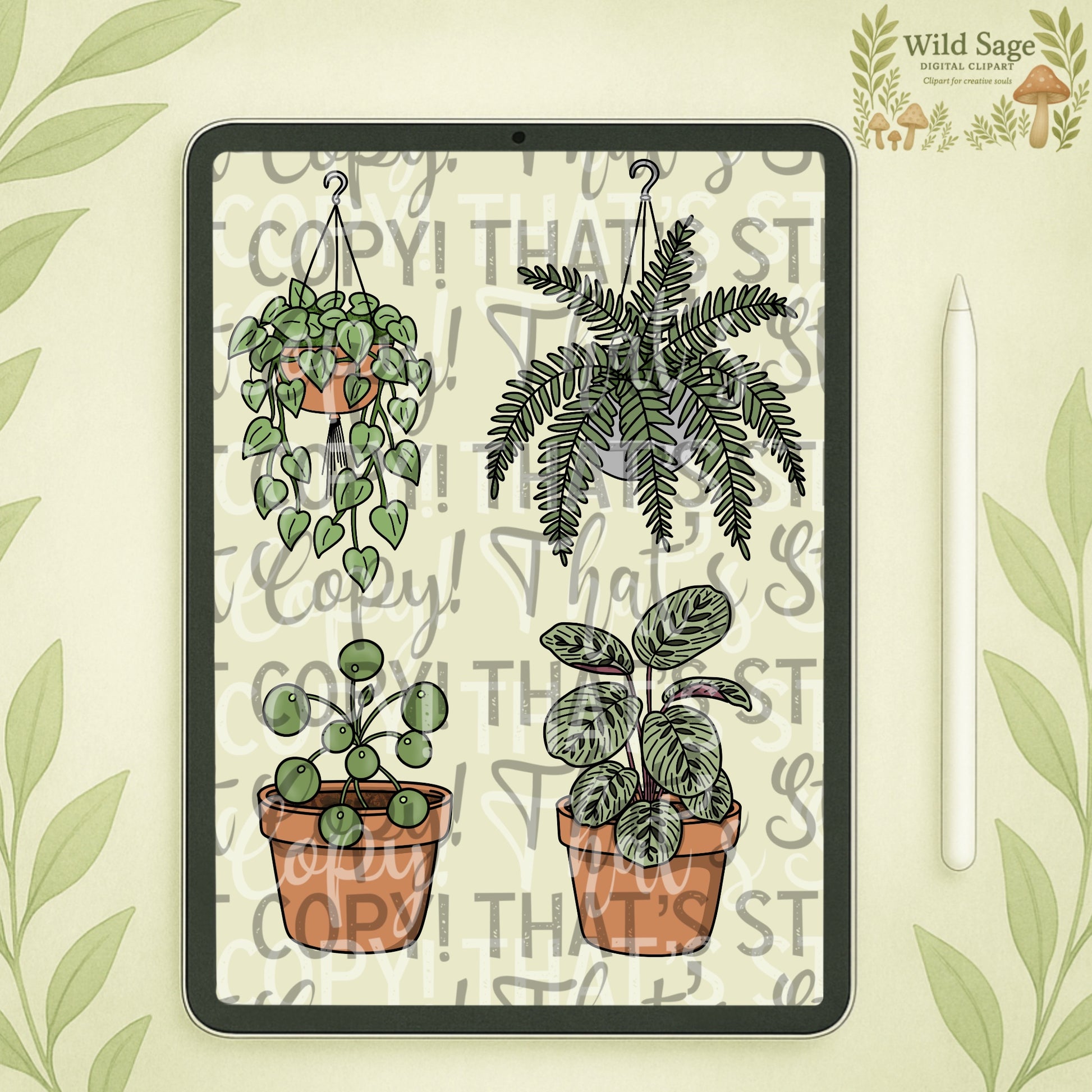 House Plants Clipart