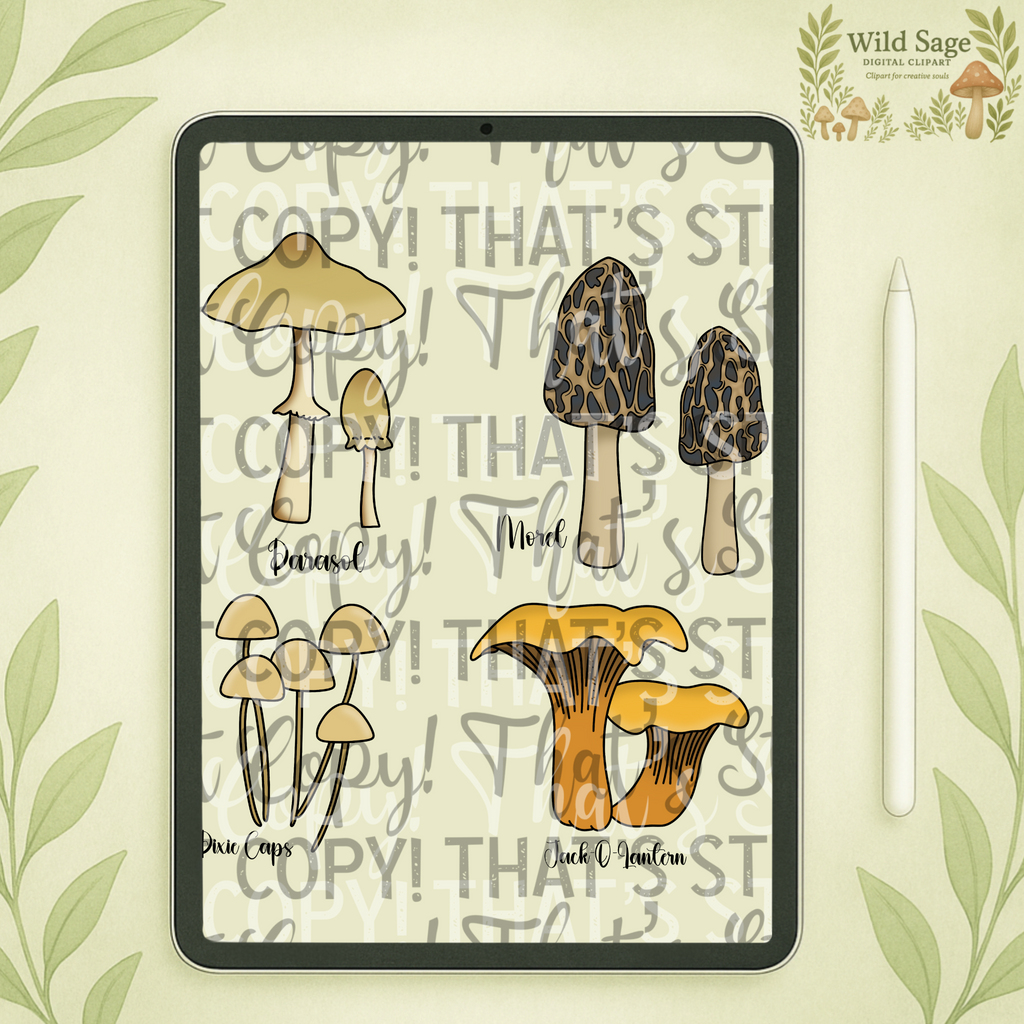 Mushroom Clipart Bundle