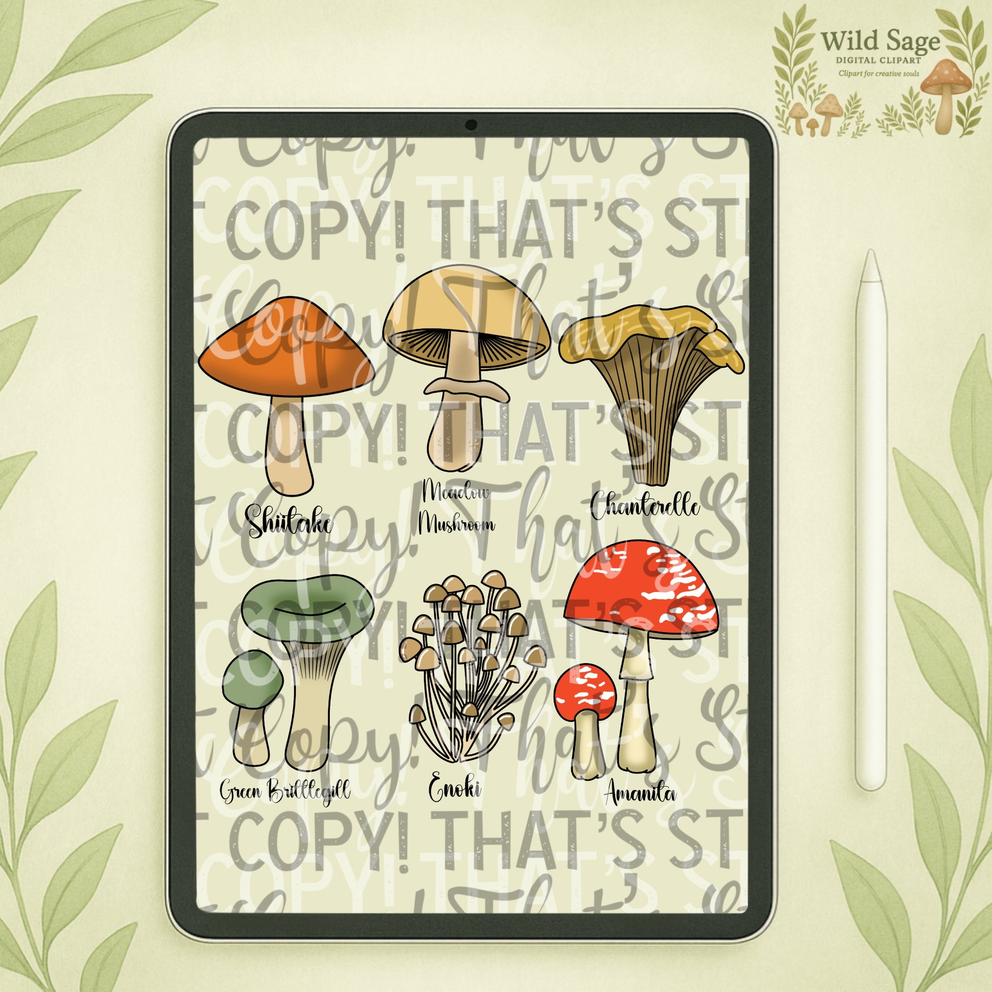 Mushroom Clipart Bundle