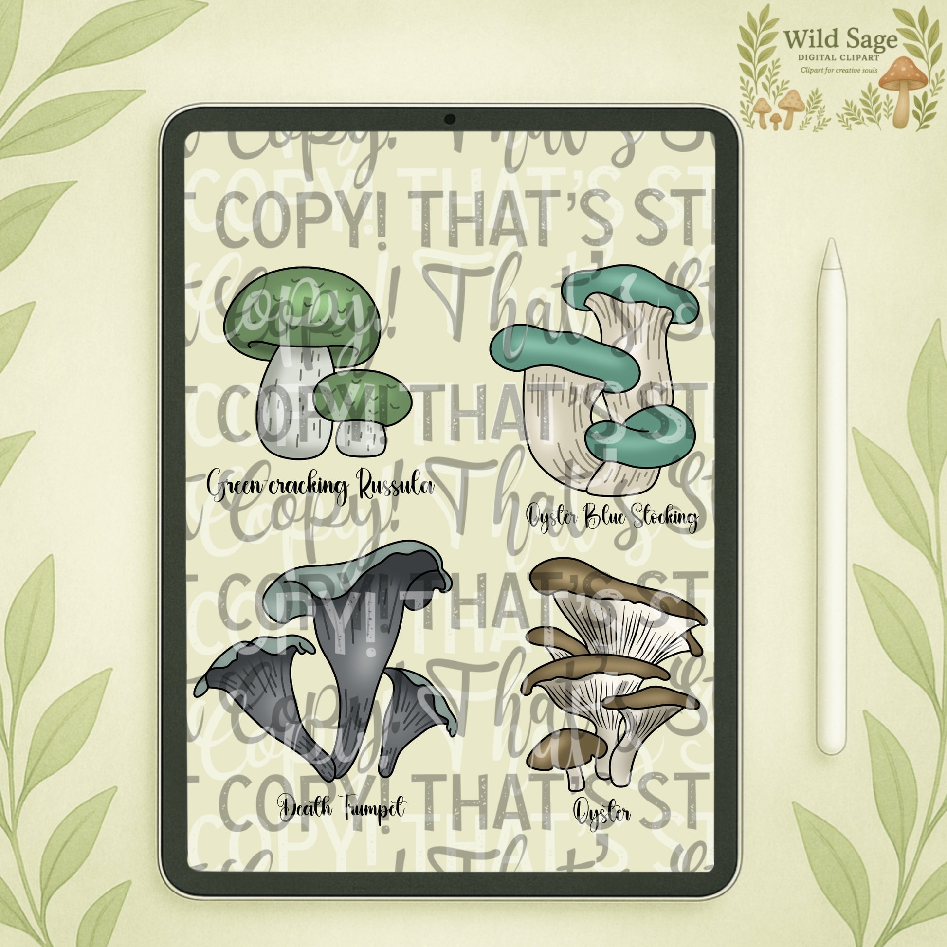 Mushroom Clipart Bundle