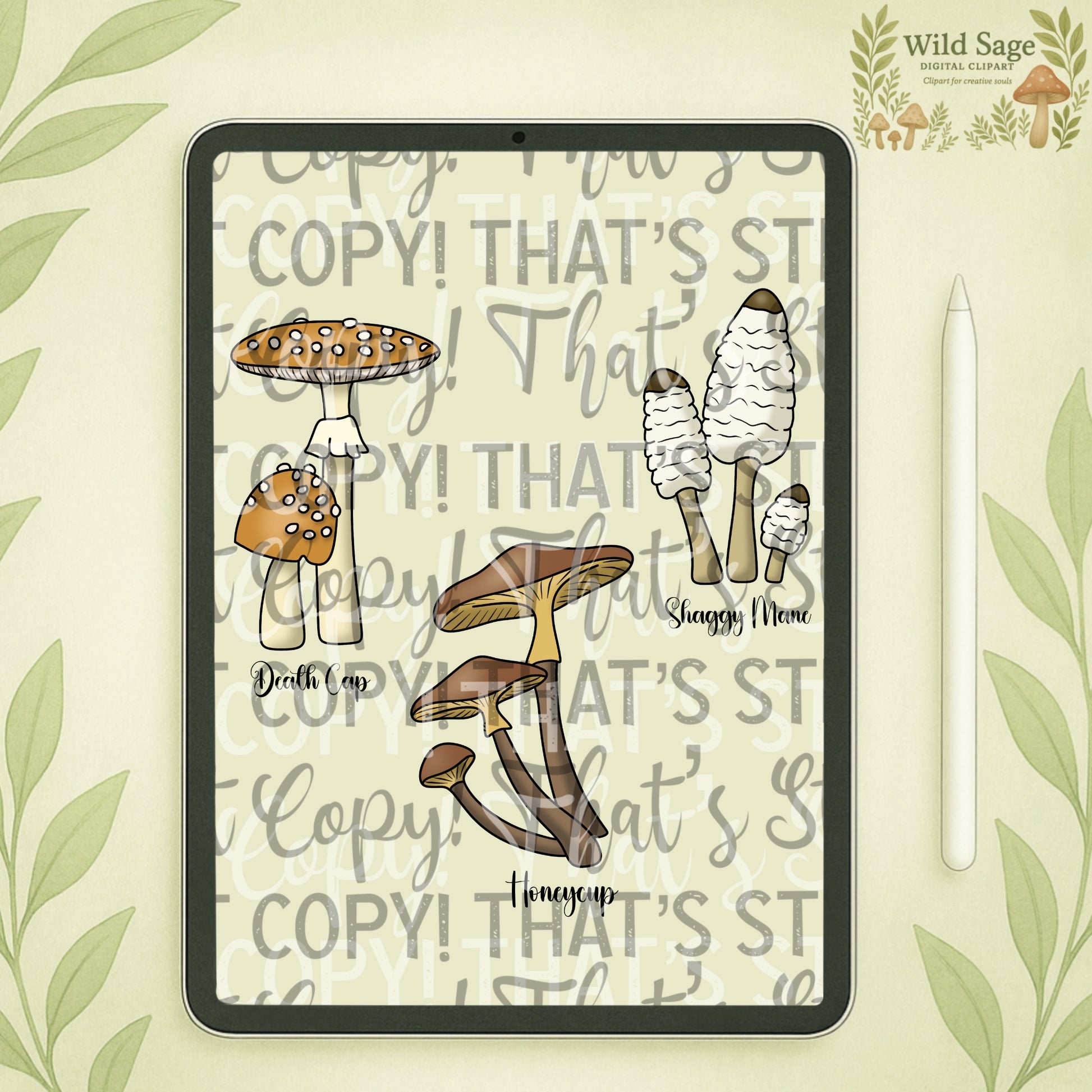 Mushroom Clipart Bundle